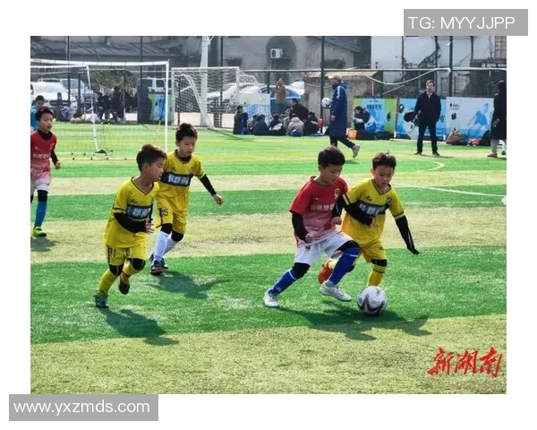 林姓球星驰骋绿茵场展现不凡技艺赢得球迷热烈掌声