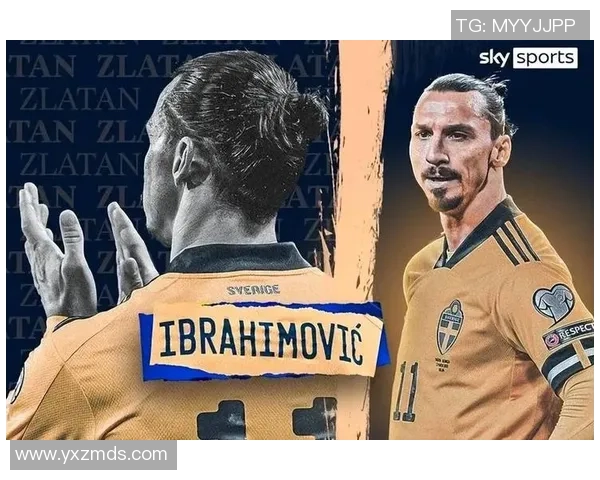 瑞典足球明星盘点 从伊布到未来之星的辉煌之路